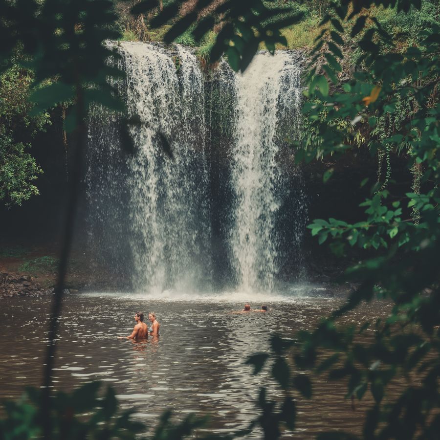 Jungle waterfall swims